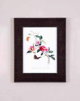 Butterflies & Camellias