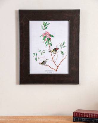 Ruby Crowned Wren Bird