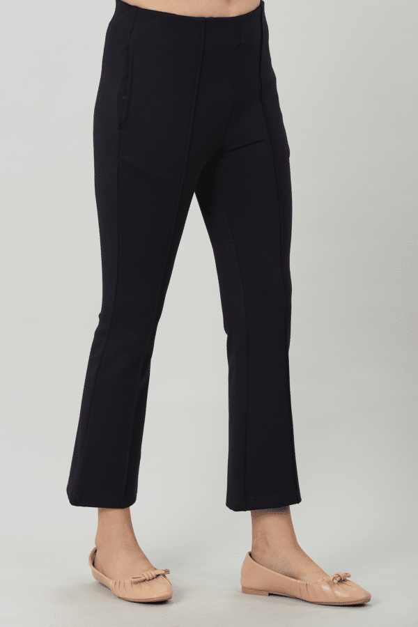 Charcoal Black Ponty Roma Pants
