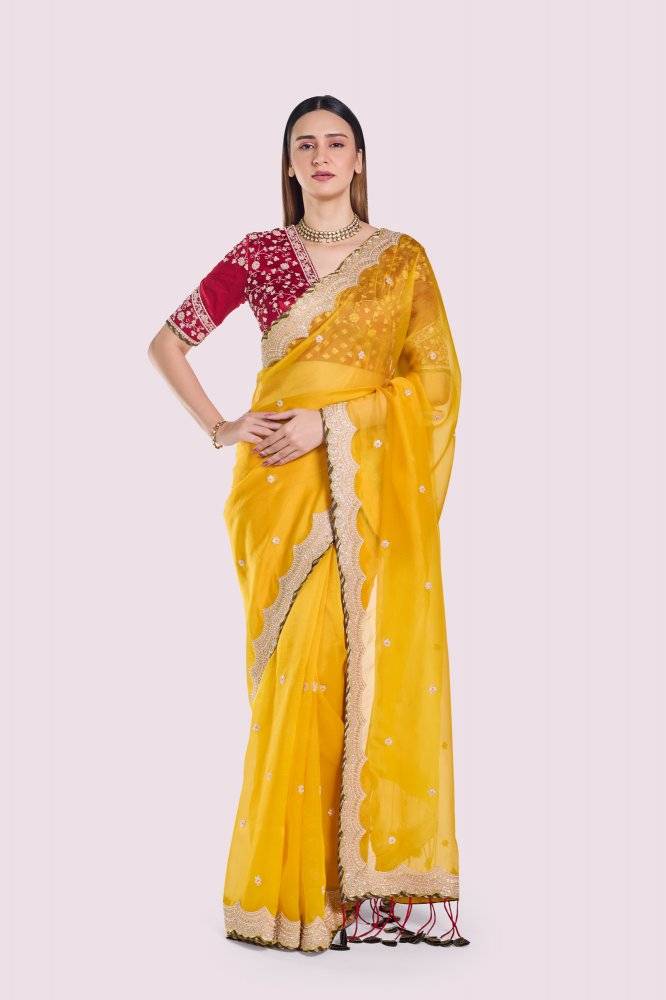 Tonakan Organza Saree Buy at ₹24995