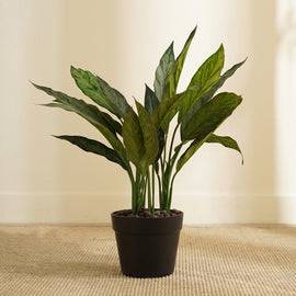 Green Faux Dracaena Potted Plant