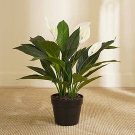 Green Faux Peace Lily Potted Plant