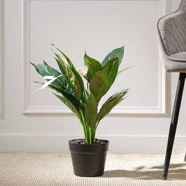 Green Faux Peace Lily Potted Plant