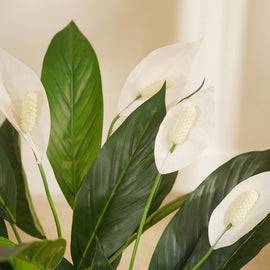 Green Faux Peace Lily Potted Plant