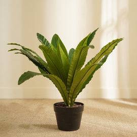 Green Artificial Birds Nest Fern Potted Plant