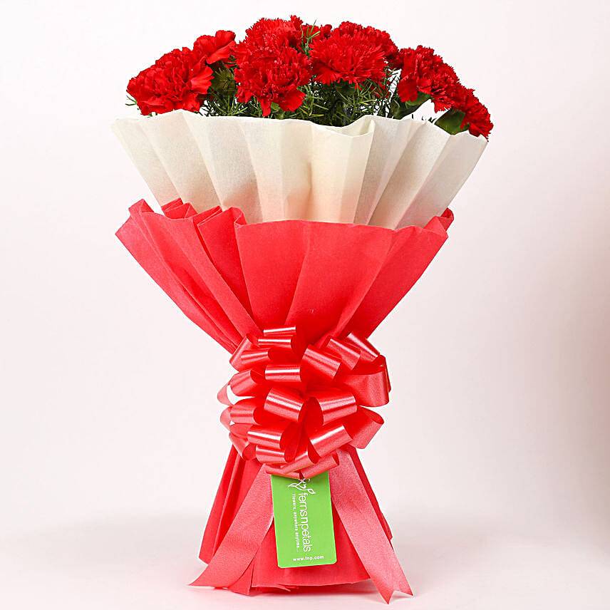 12 Red Carnations Bouquet in Red & White Paper