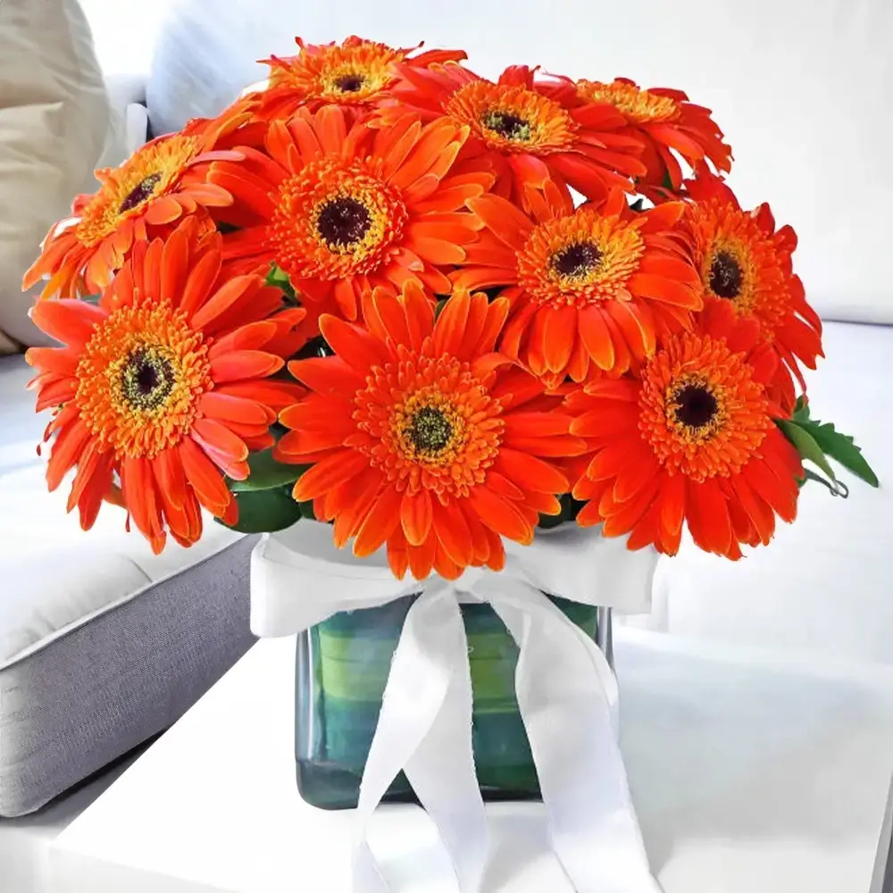 Radiant Orange Gerbera in Vase