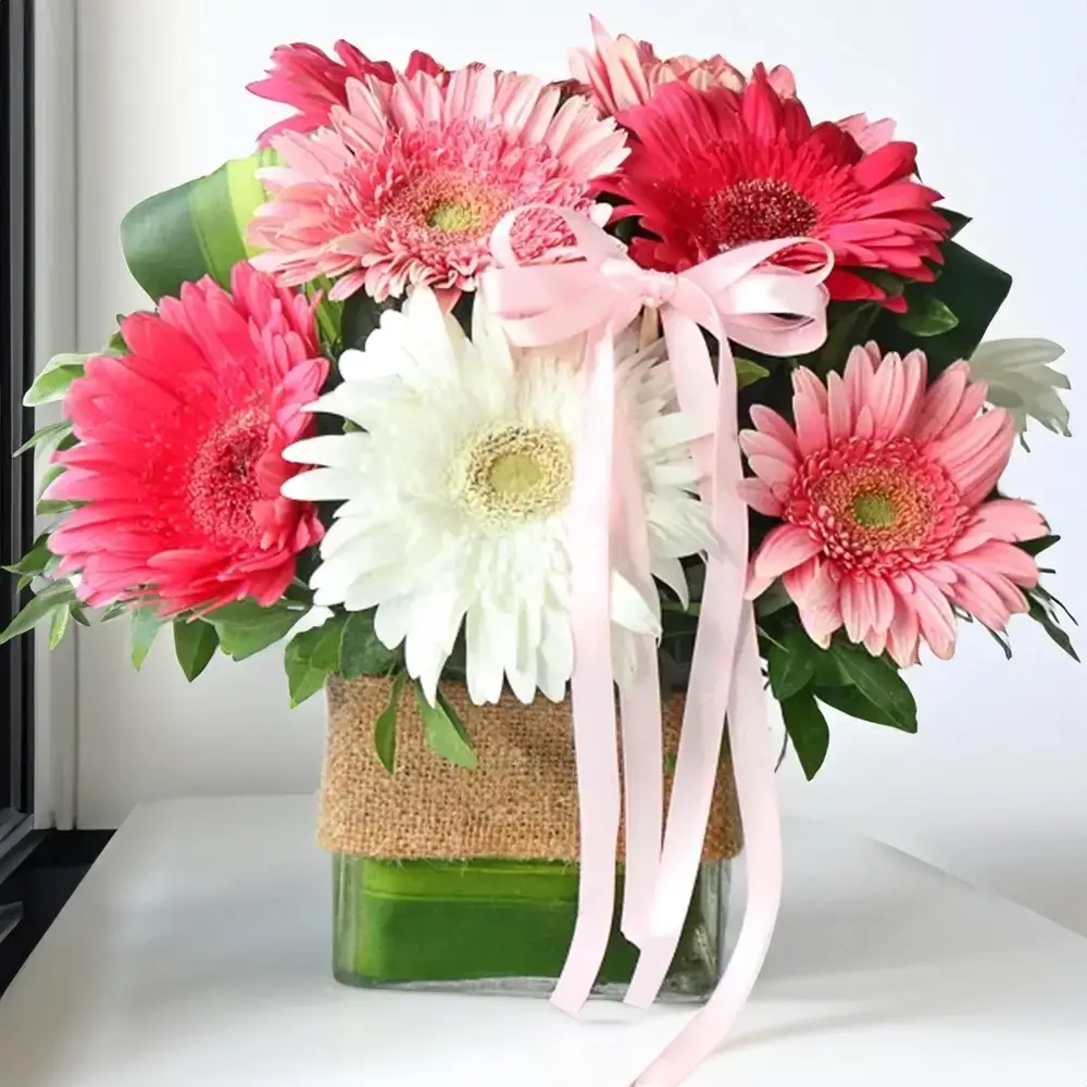 Mixed Gerberas in a Vase