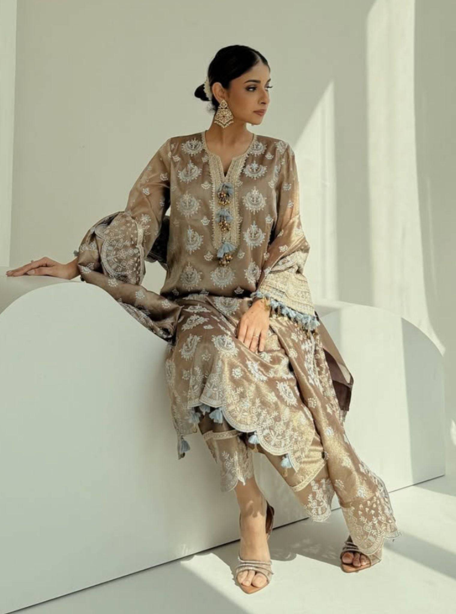 Amie Tissue Brown Kurta Set