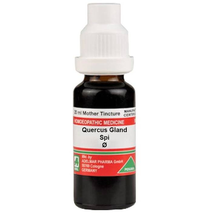 ADEL Quercus Gland Spi Mother Tincture Q