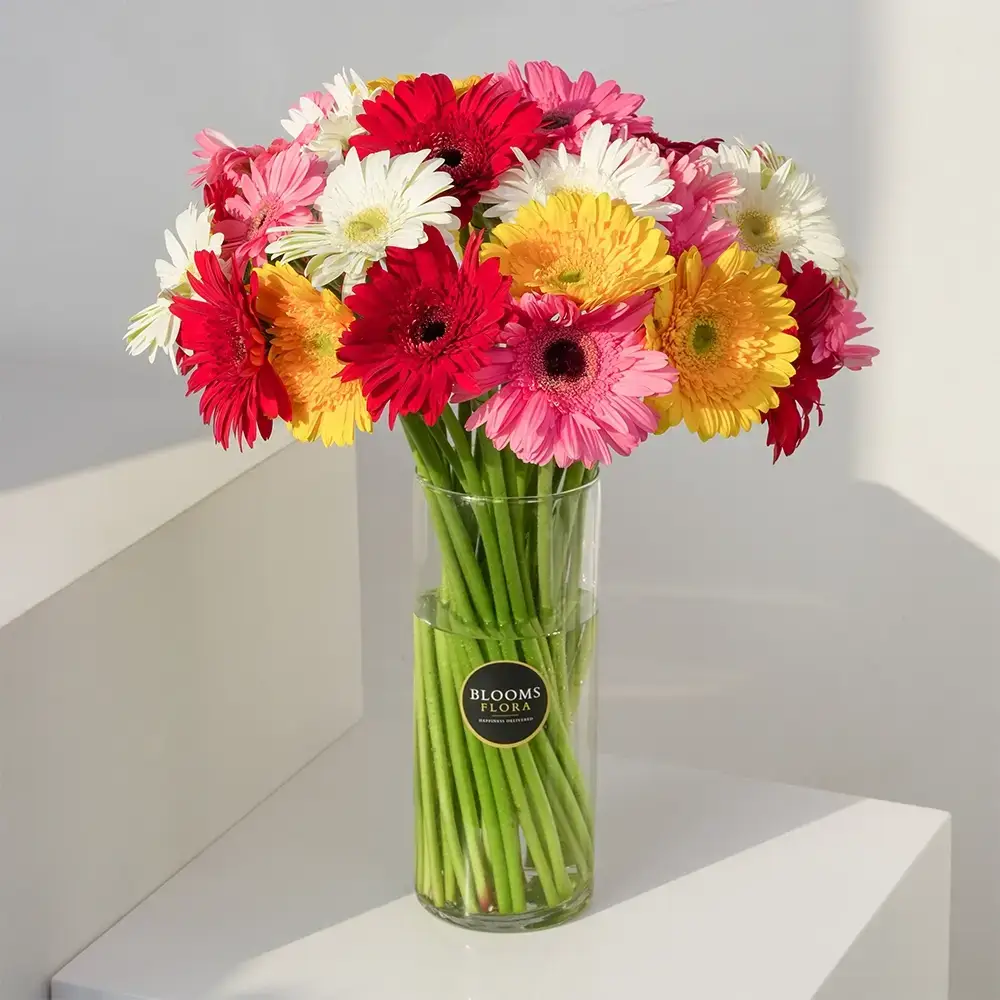 Mixed Gerberas in a Glass Vase
