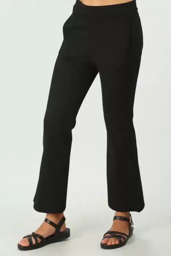 Classic ponty roma Pants