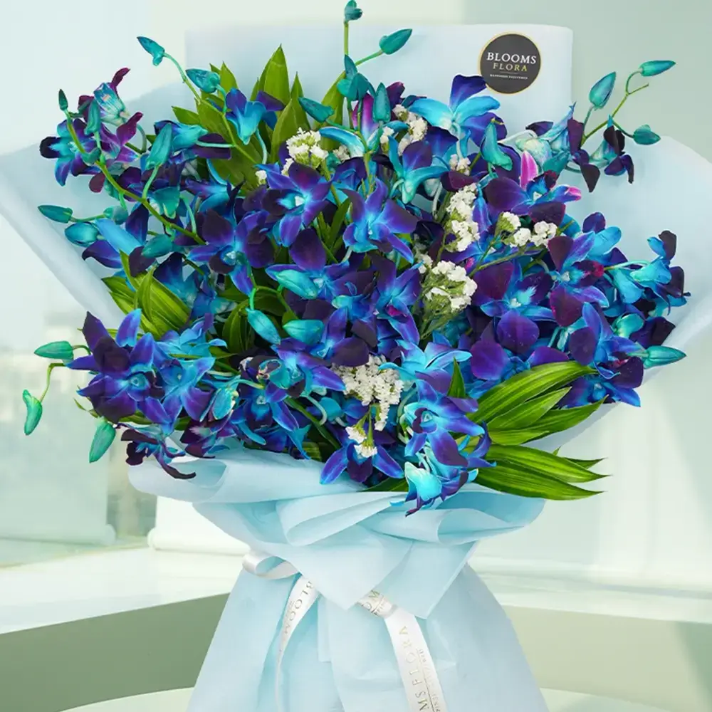 Bouquet of Blue Orchids