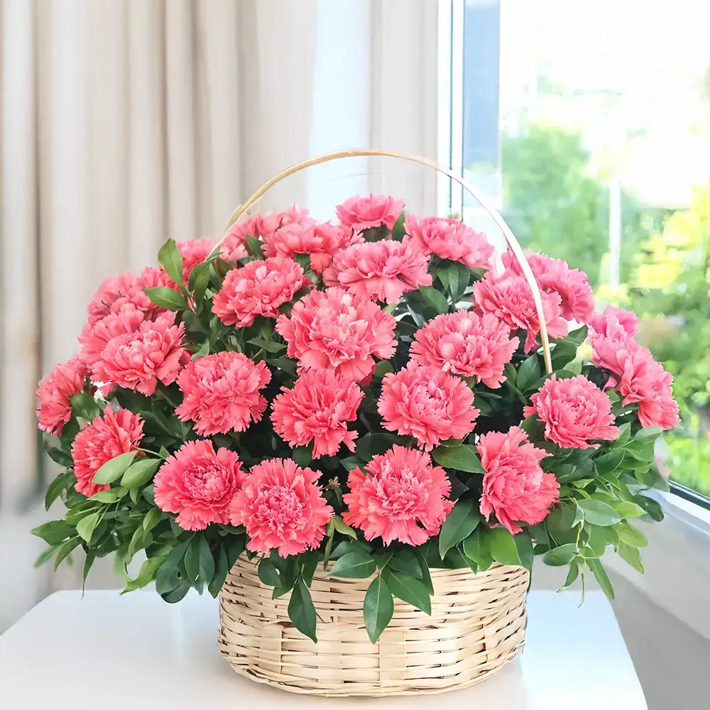 Posh Pink Carnations in a Basket