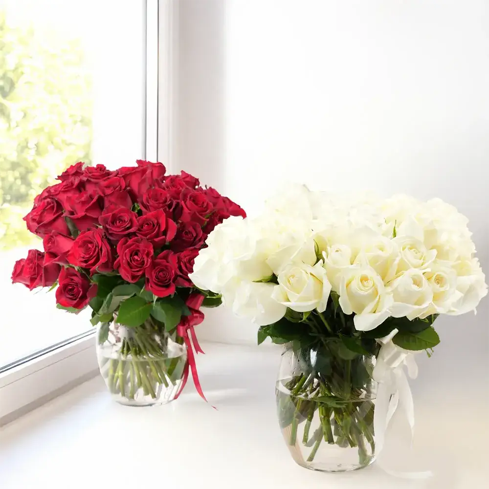 Red and White Roses Duo