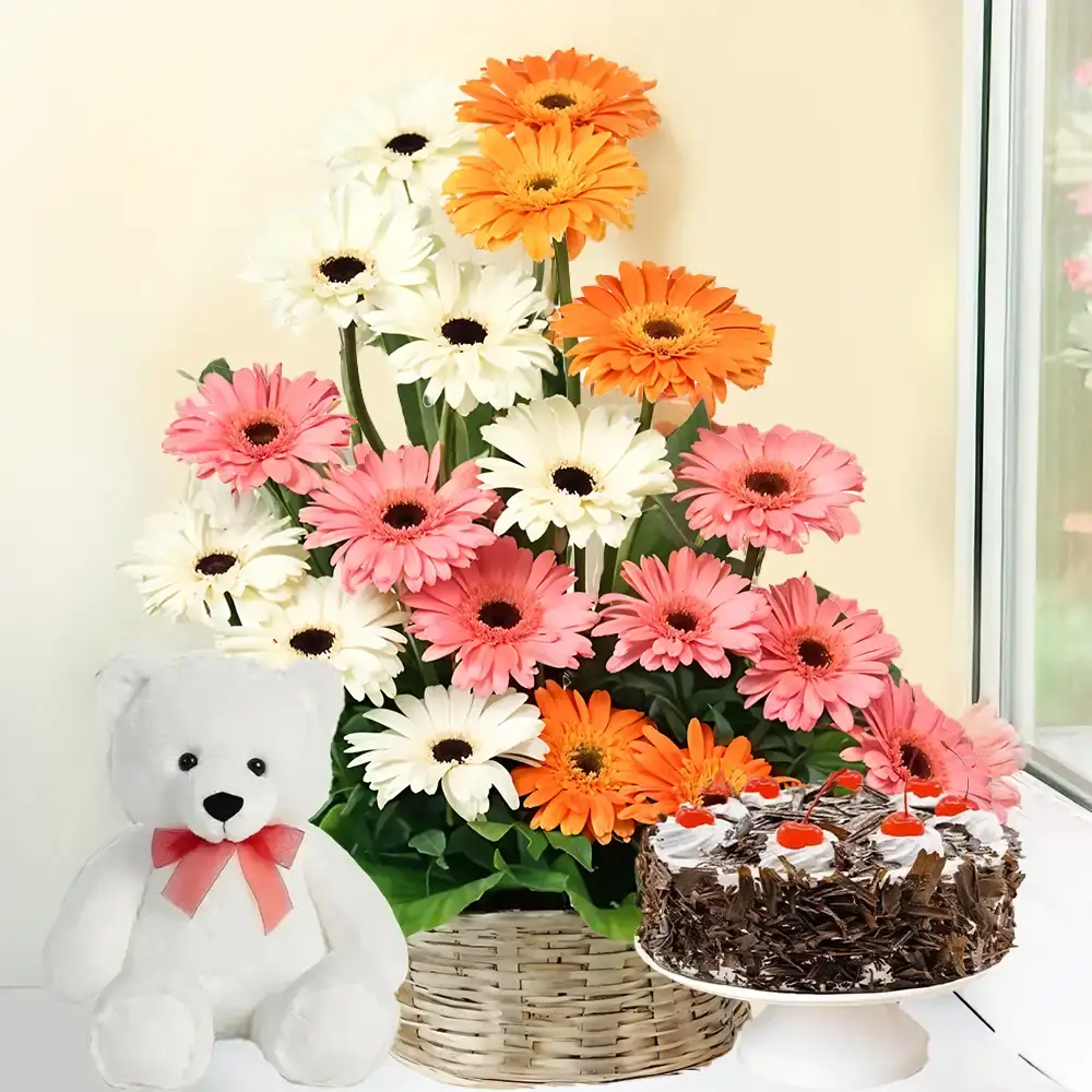 Mixed Gerberas in a Basket, Cake & Teddy
