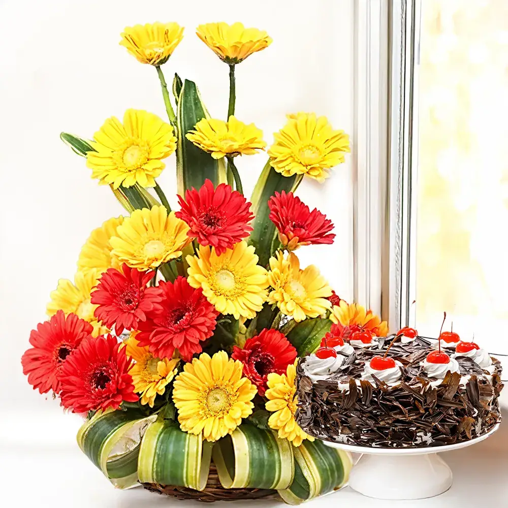 Mixed Gerberas in a Basket & Cake
