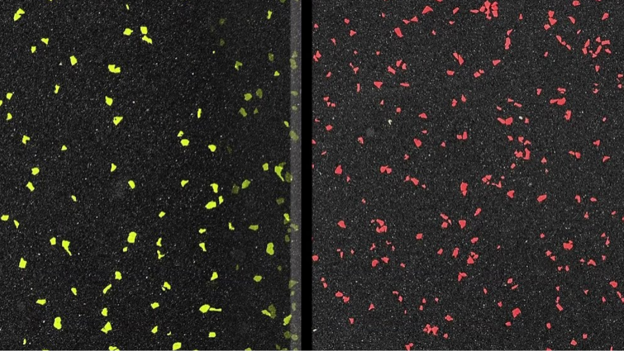 free business listing