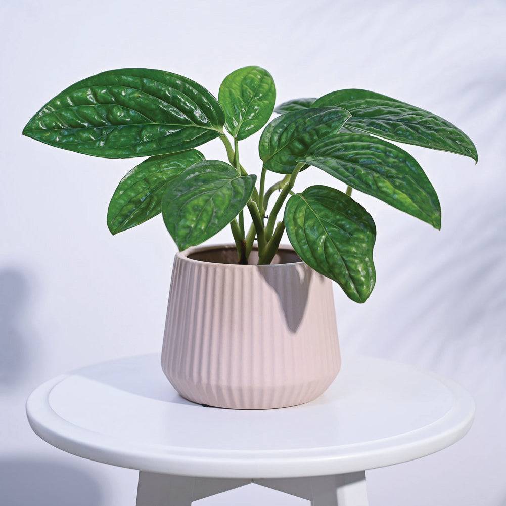 Synth Ceramic Pot