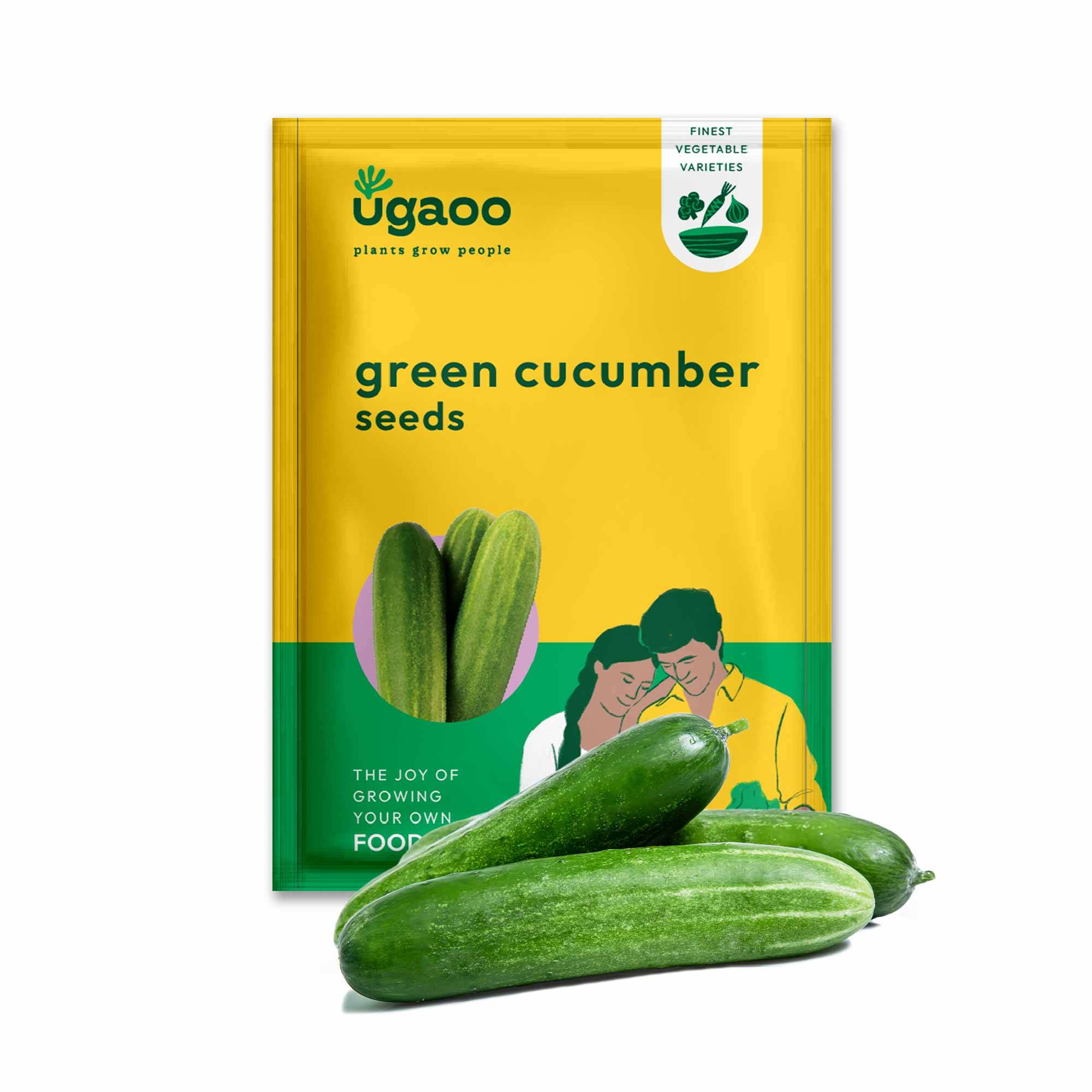 Green Cucumber Seeds (Long)