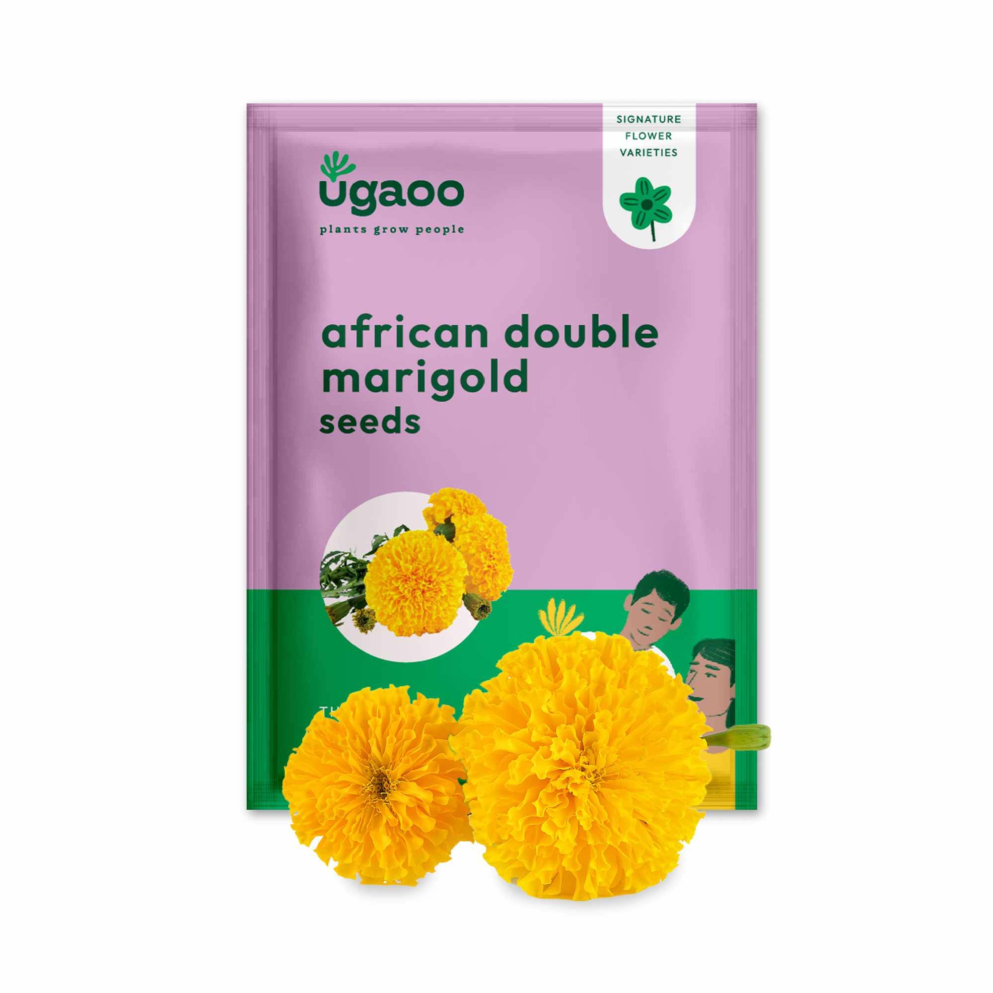 Marigold African Double Seeds