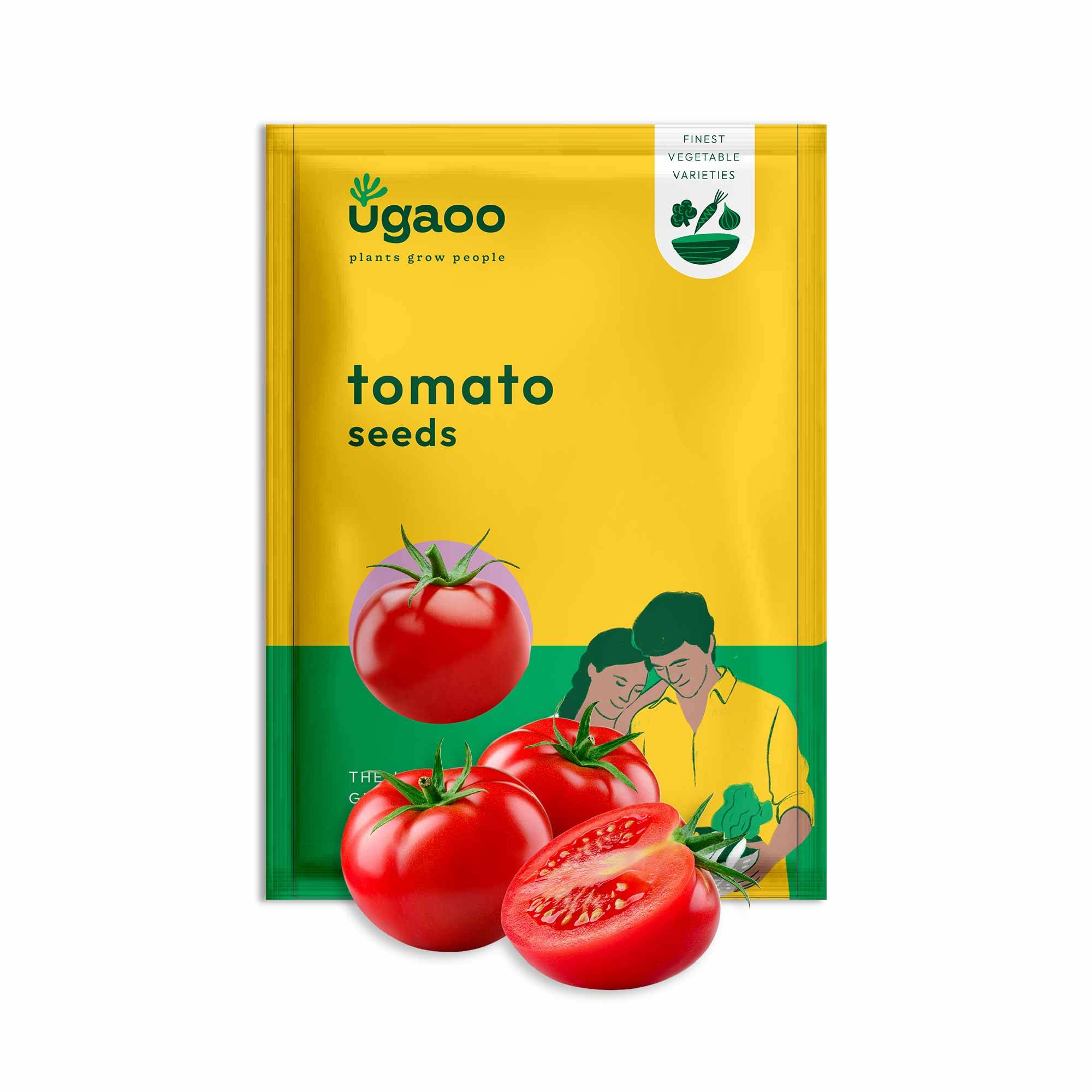 Tomato Seeds