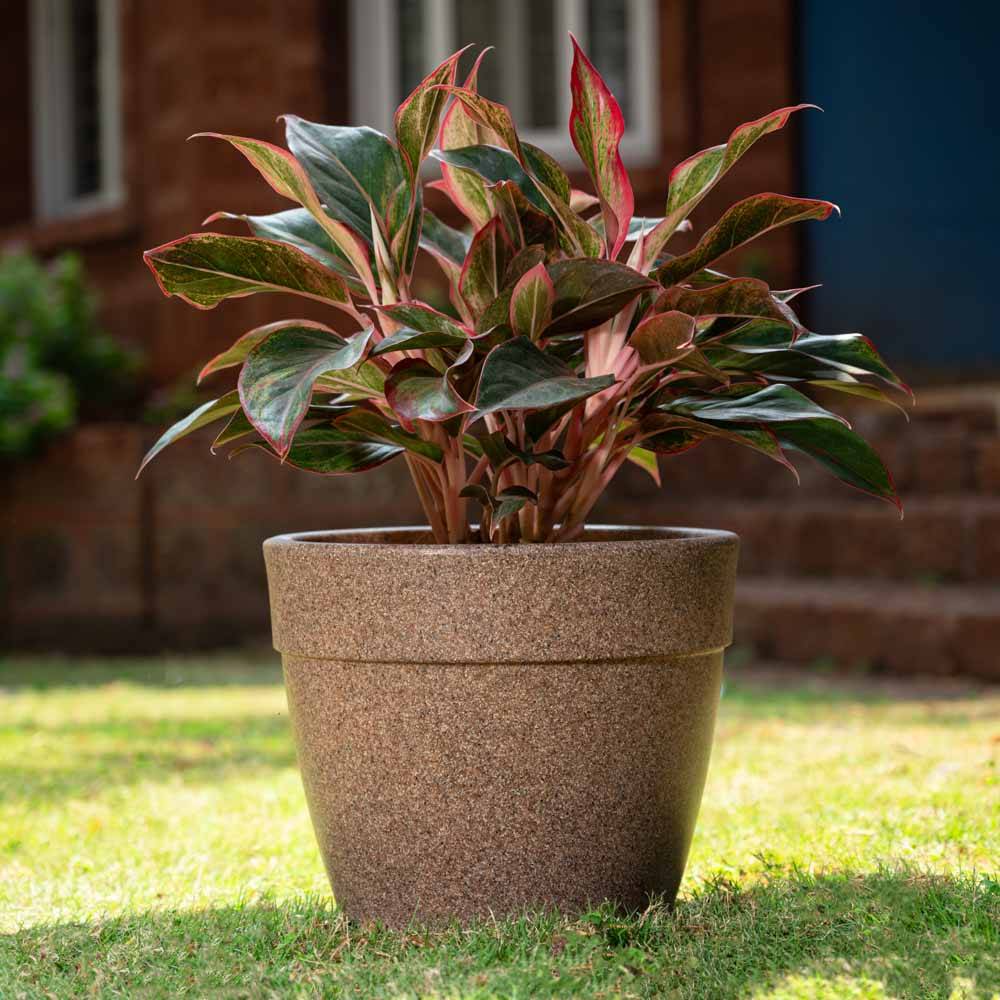 Barca Round Planter