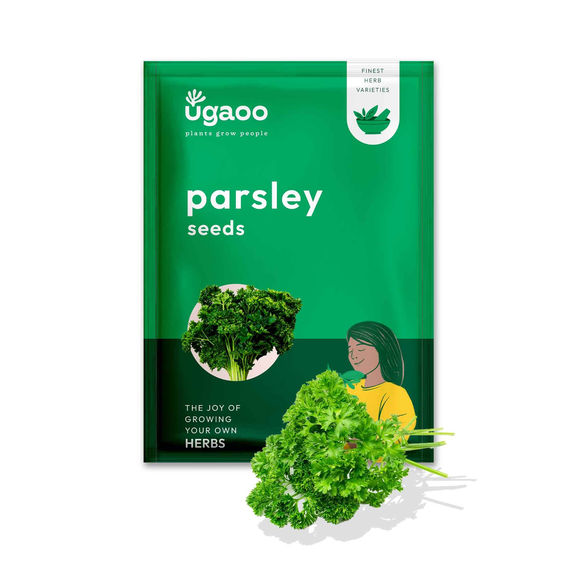 Parsley Seeds