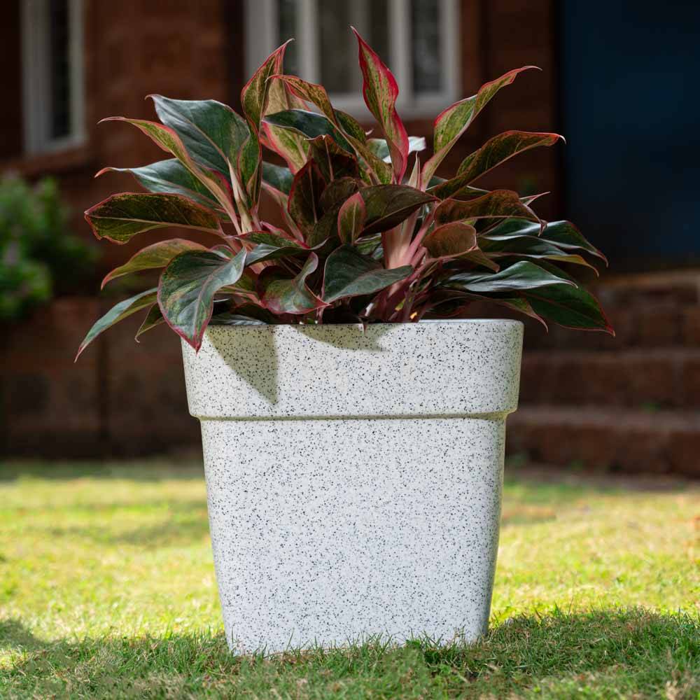 Barca Square Planter