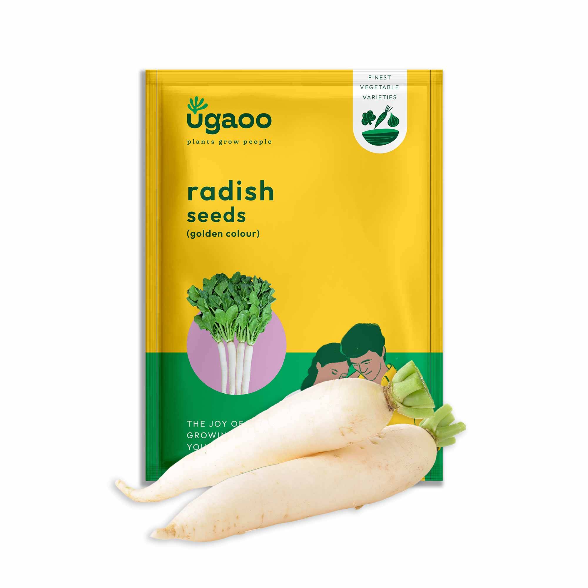 Radish Golden Seeds (Pusa Chatki)