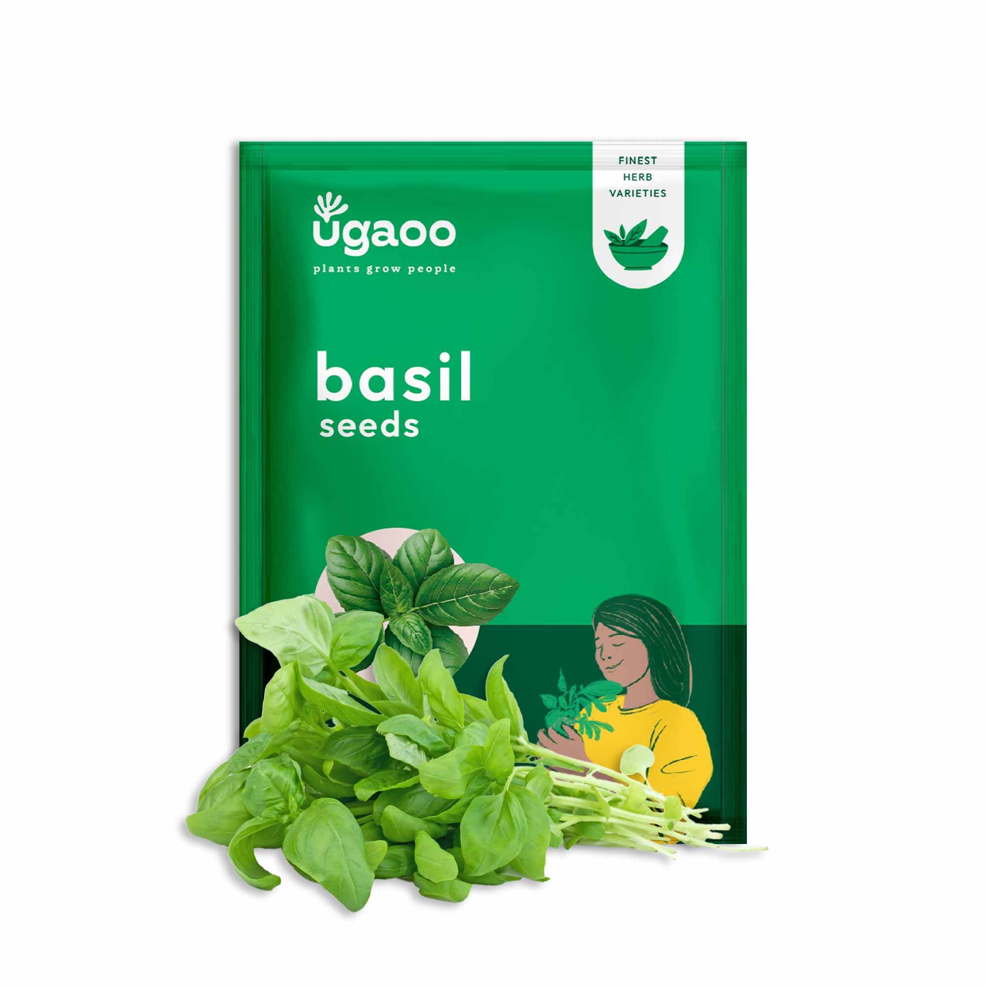 Italian Basil Seeds