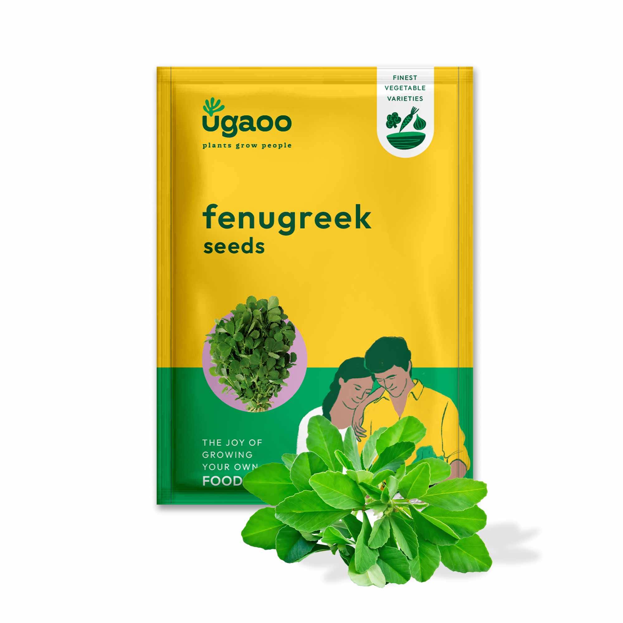 Fenugreek Seeds (Methi)