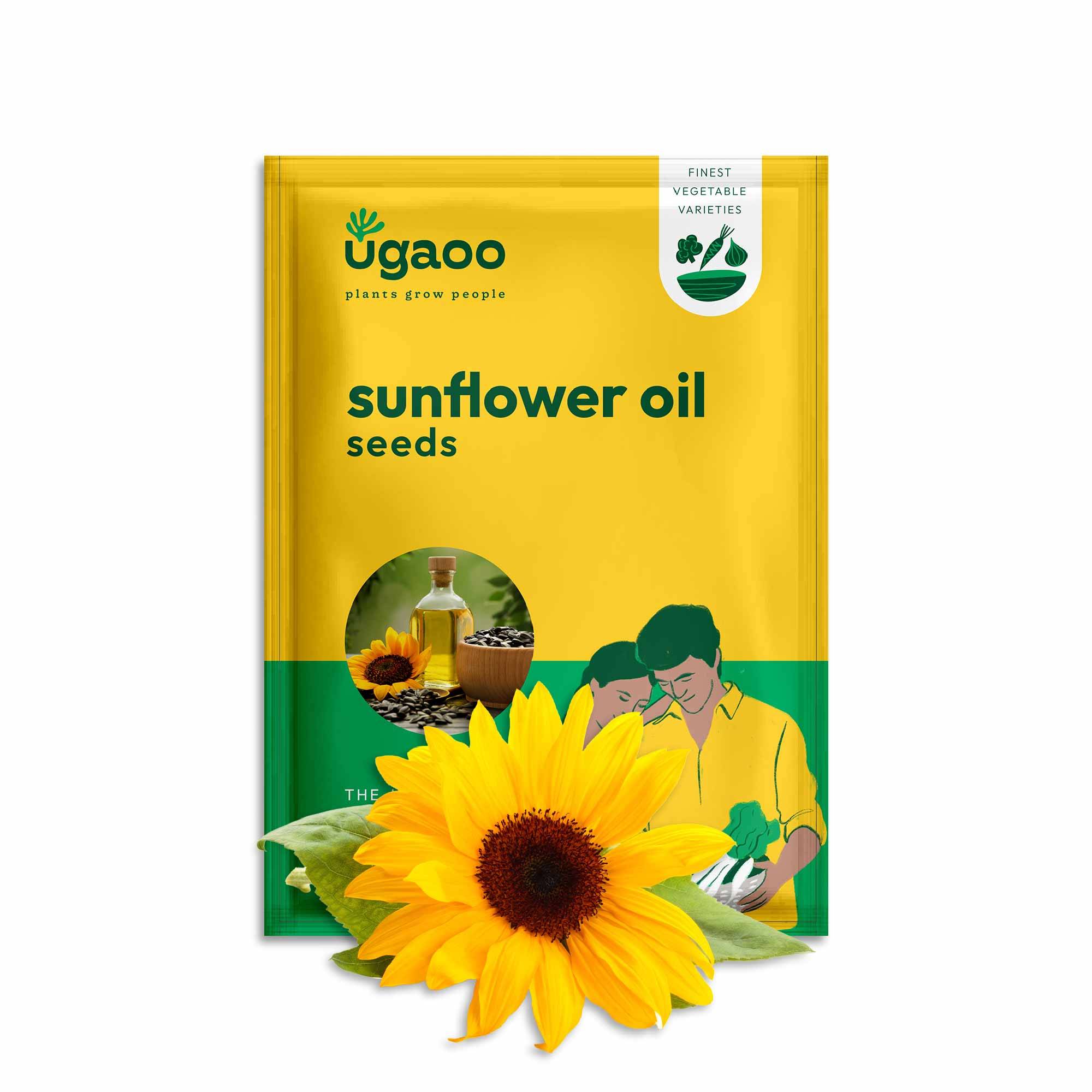 Sunflower Oil Seeds