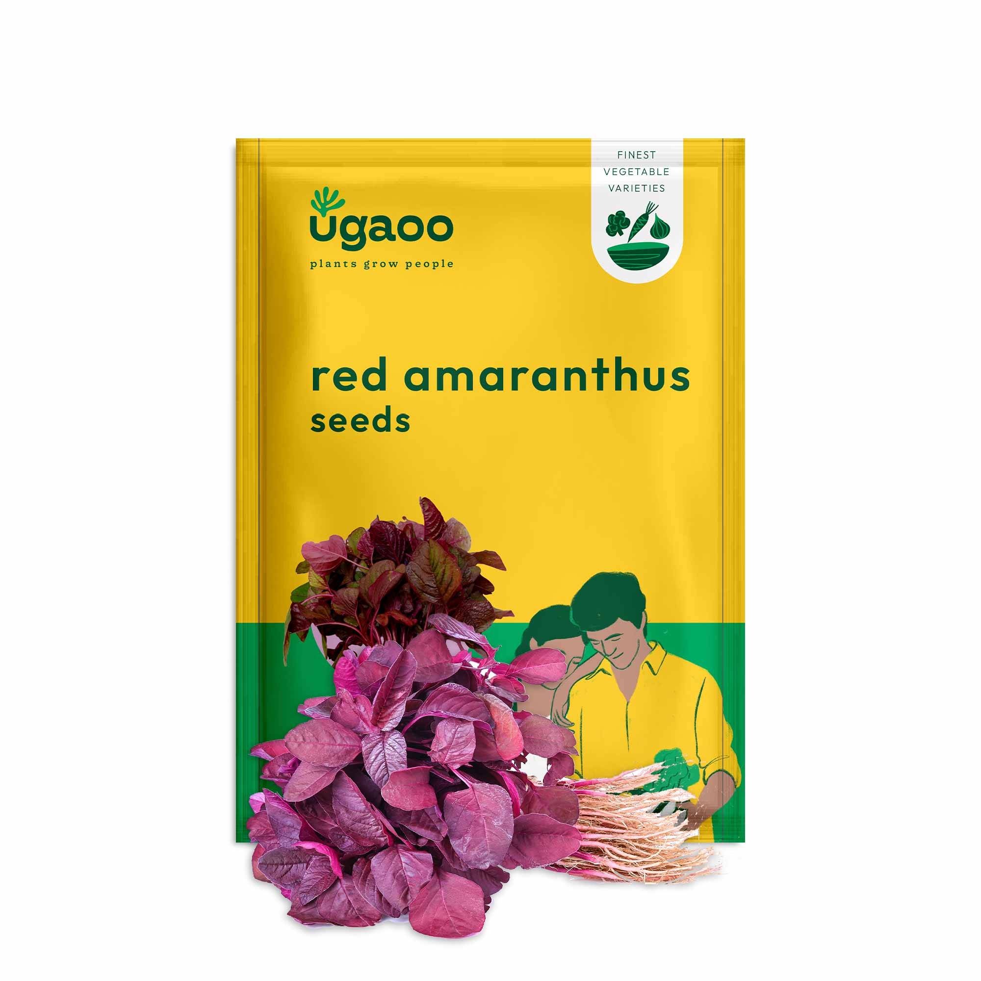 Red Amaranthus Seeds (Red Math)