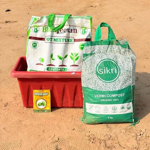 Capsicum Green Grow Kit - 17 Inch Terracotta Red Window Planter + 10Kg Soil Potting Mix + 5 Kg Vermicompost (Brands may vary)