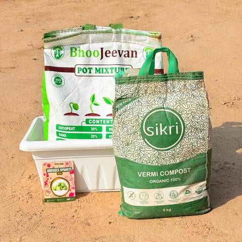 Brussels Sprouts Grow Kit - 20 Inch White Window Planter + 10Kg Soil Potting Mix + 5 Kg Vermicompost (Brands may vary)