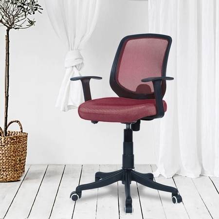 Xxeana Low Back Ergonomic Chair in Maroon Colour