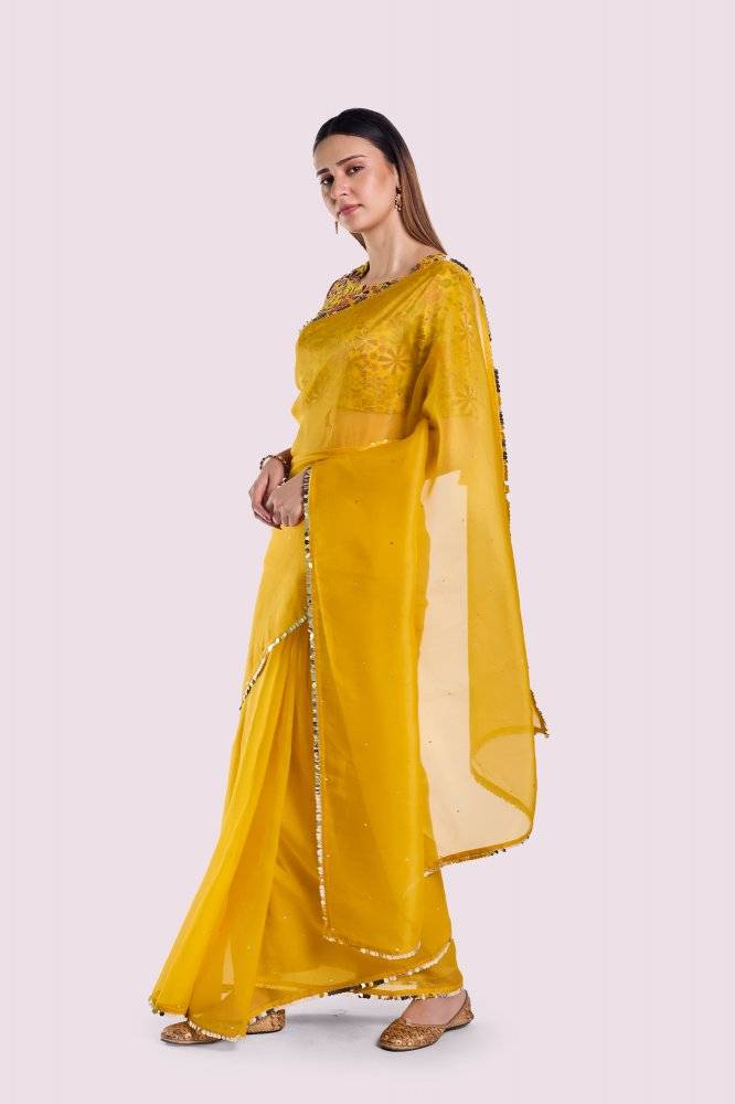 Arev Organza Saree Buy at ₹18495