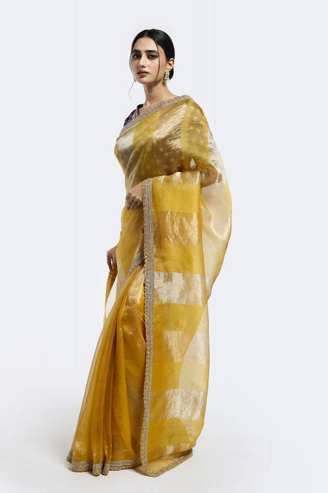 Subtly Panelled Tissue Saree Buy at ₹26495