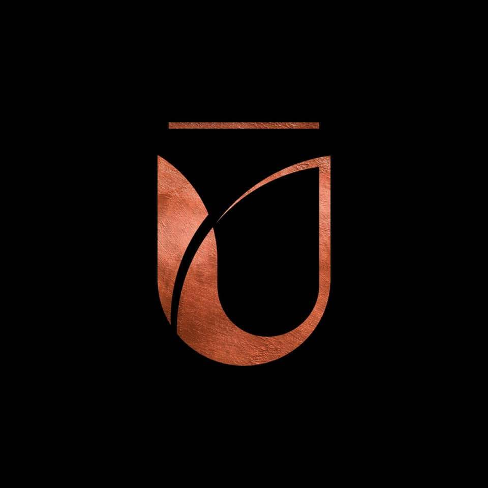 Shunya wellness