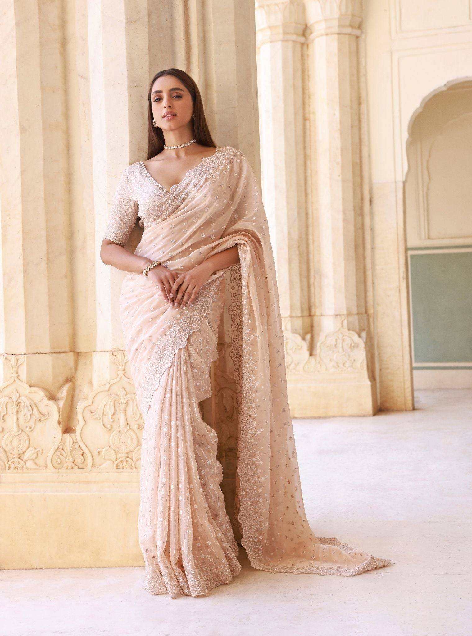 Ahlira Organza Beige Saree
