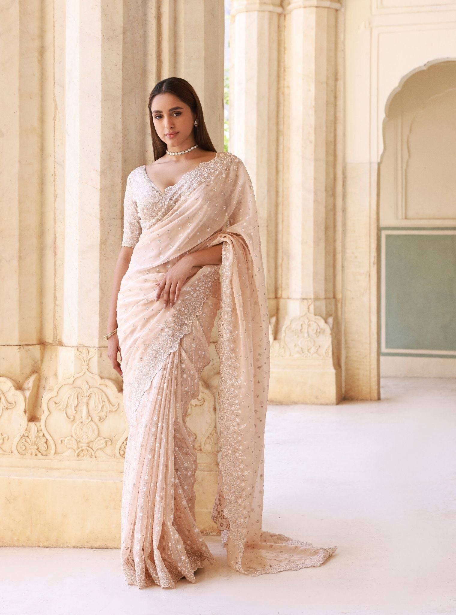 Ahlira Organza Beige Saree