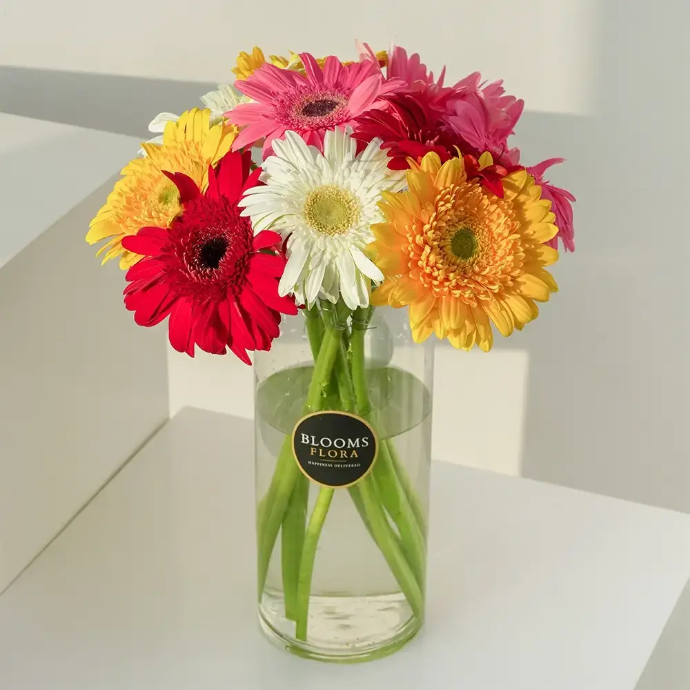 Mixed Gerberas in Glass Vase