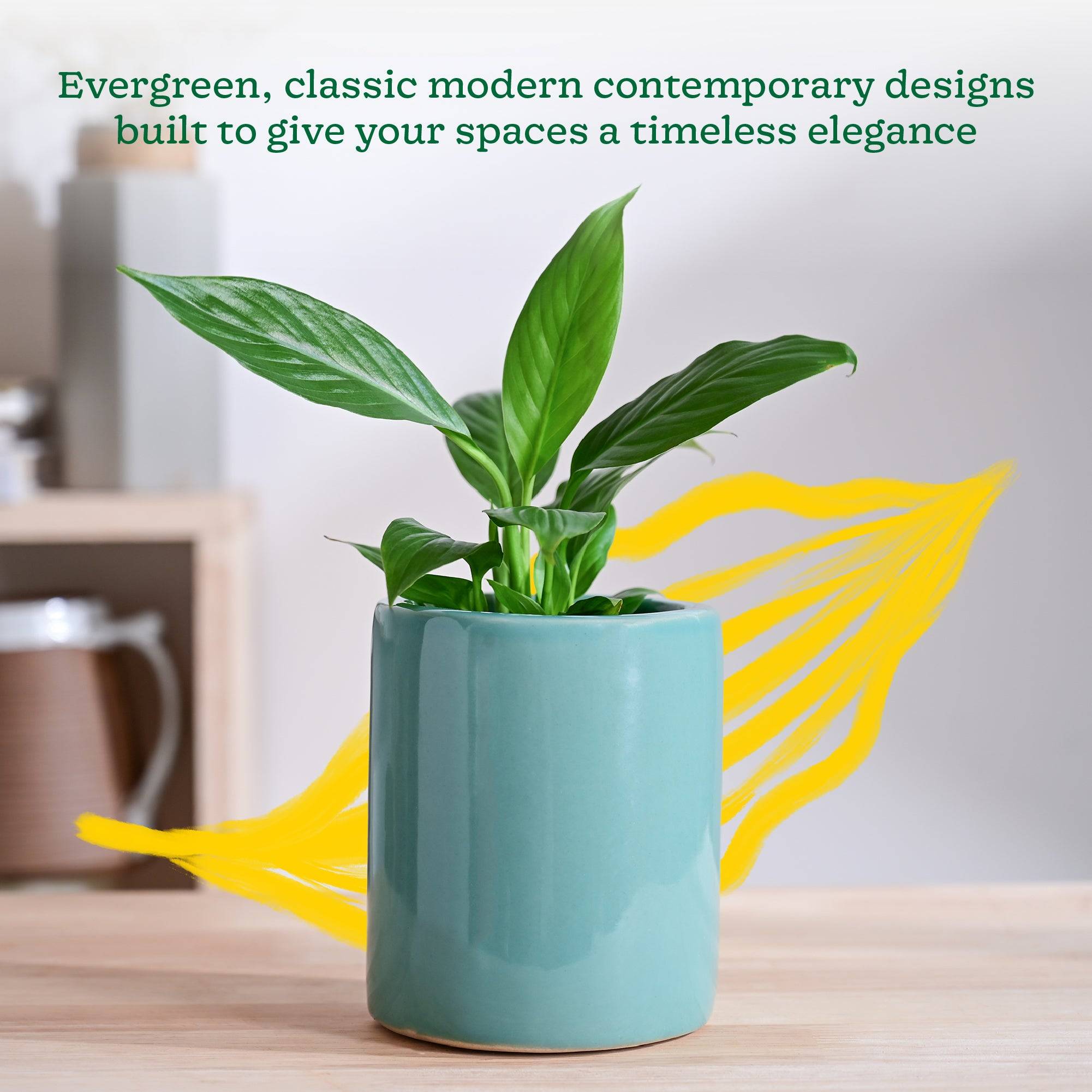 Lilac Stories Extra small Ceramic Planter