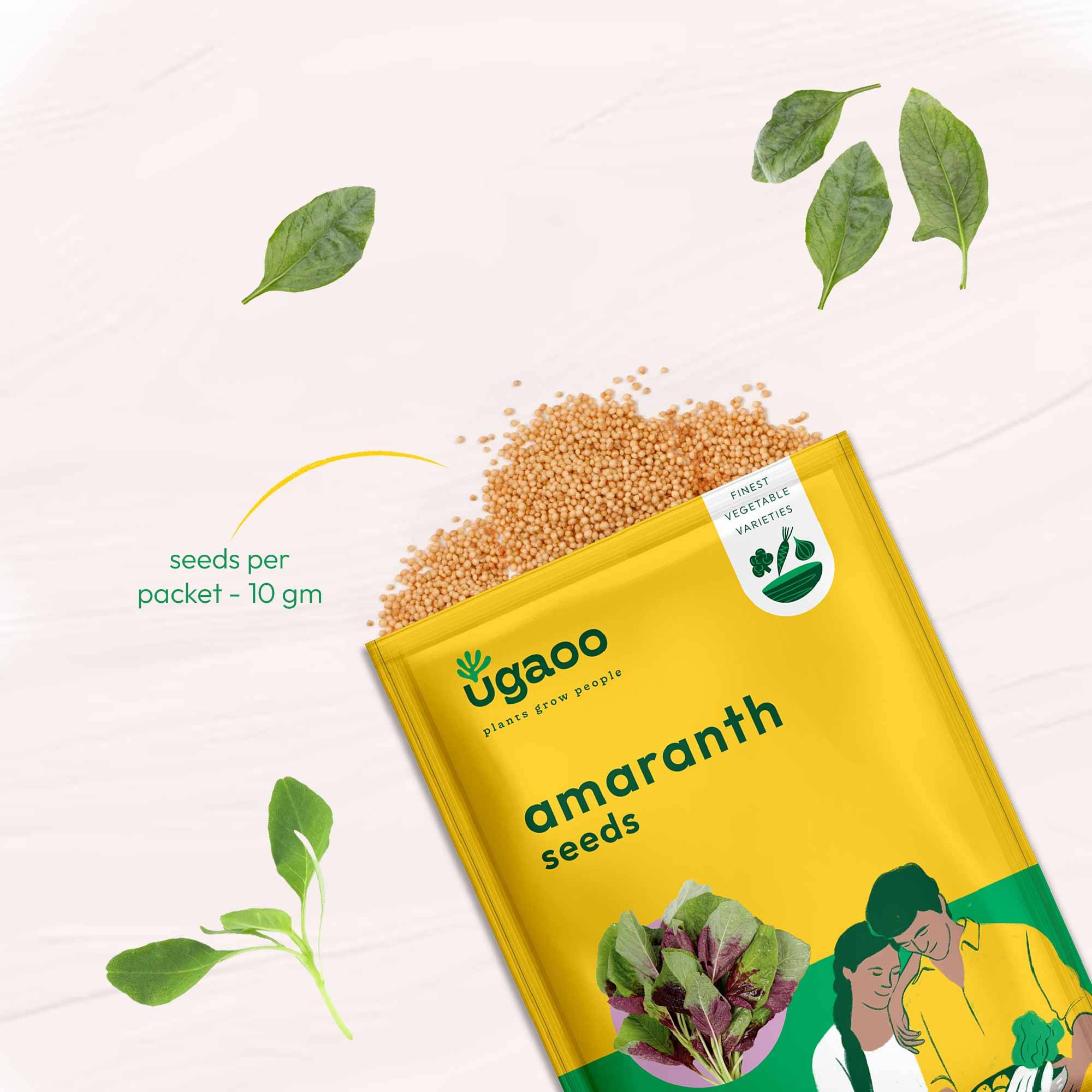 Amaranth Seeds (Chawli Bhaji)