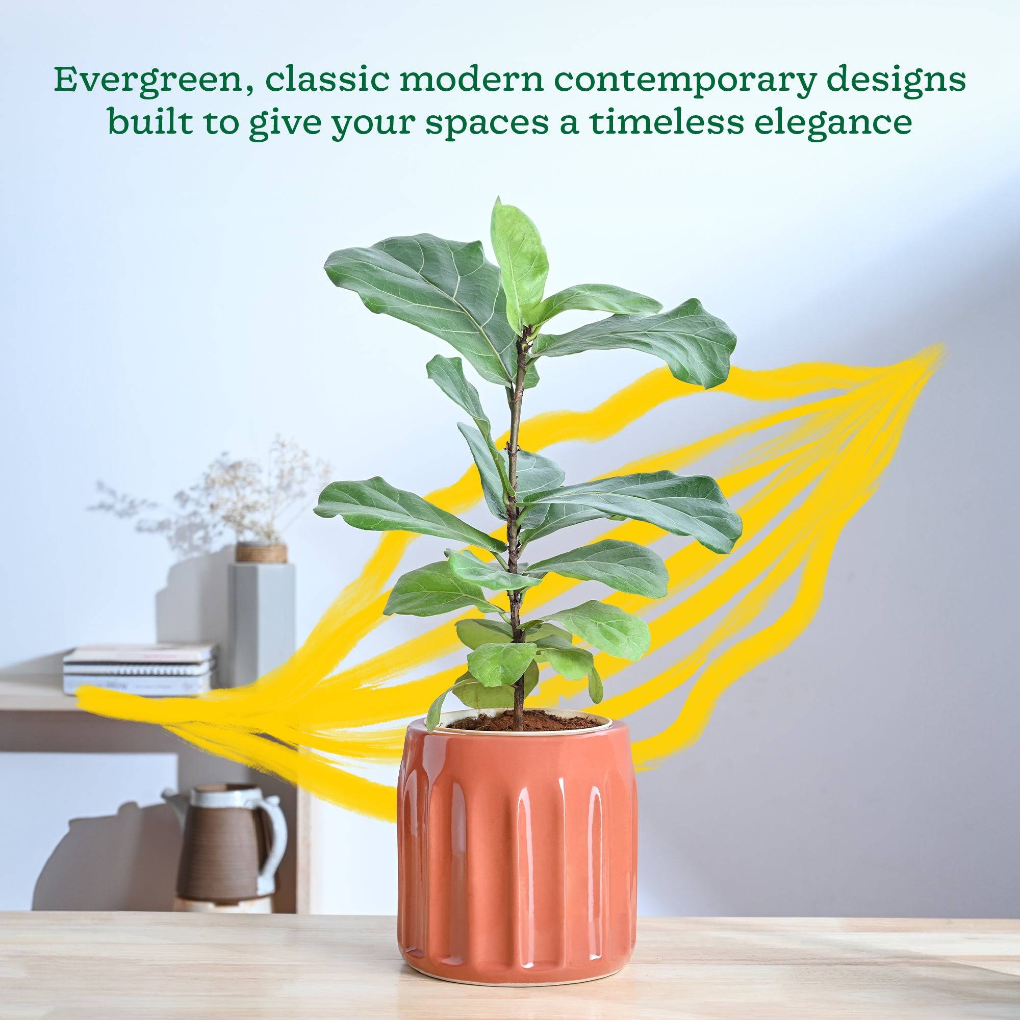 Blushing Sun Ceramic Planter