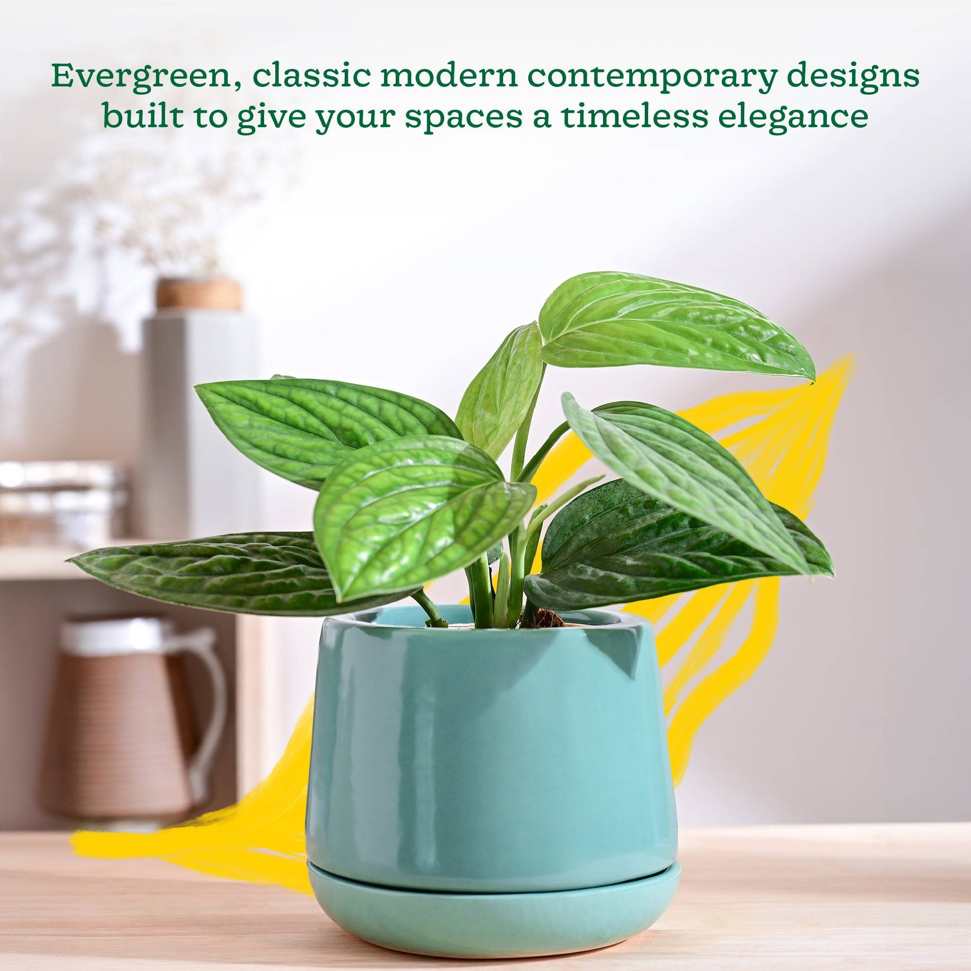 Monsoon Medley Ceramic Planter