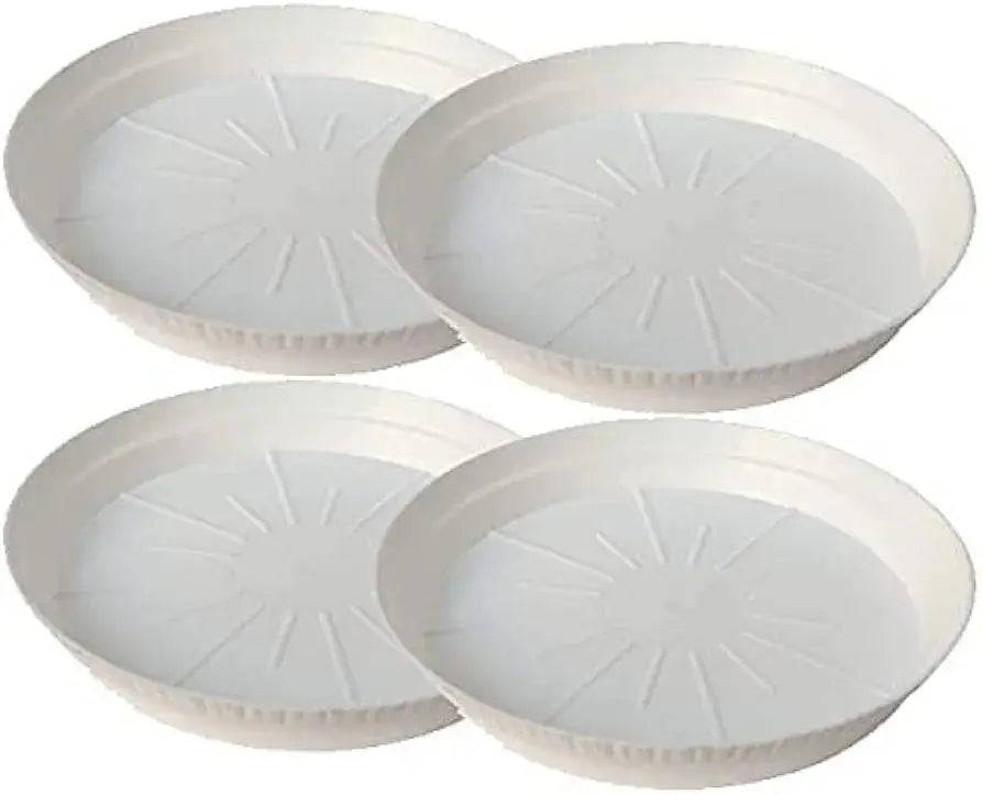 6 Inch White plastic plate