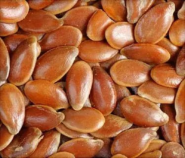 Buy Flax Seeds Bulk Supplier