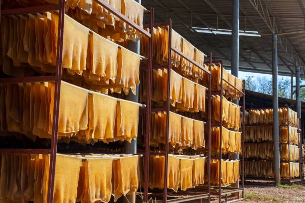 Khandesh Natural Rubber Sheet